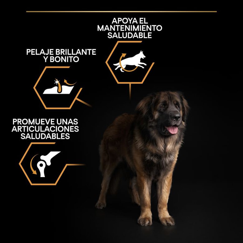 Pro Plan Adult Large Robust OptiHealth Frango ração para cães, , large image number null